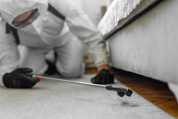 Professional Ant Control technician working in Dunes City, OR